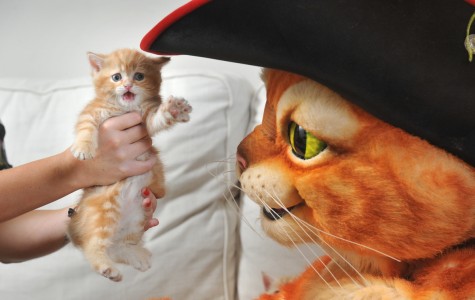 THE ADVENTURES OF PUSS IN BOOTS