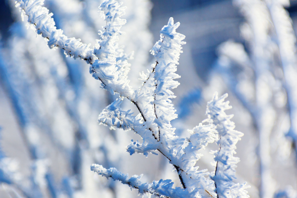 blue-cold