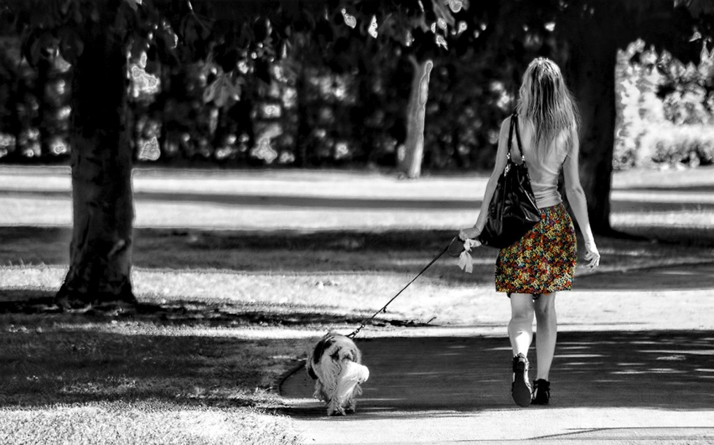 walking the dog