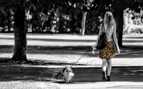 walking the dog