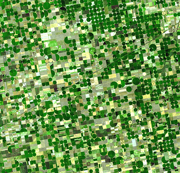 field-cultivation-pattern