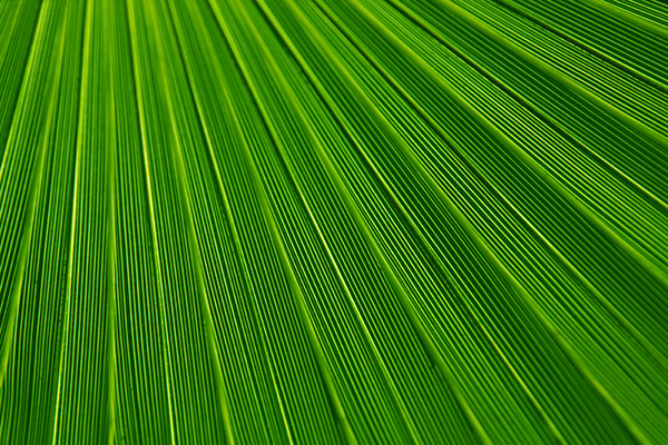 abstract-Stripes