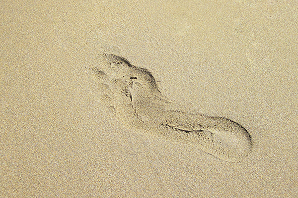 barefoot-feet
