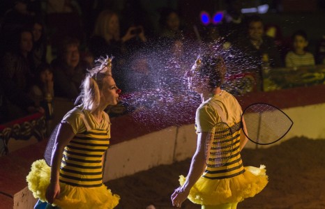 Zippos Circus Carnaval. Busy Bee- Photographer Piet-Hein Out 2013