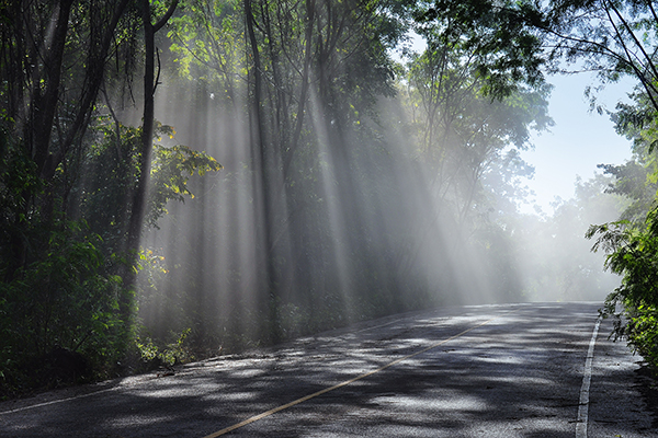 beauty-in-nature-Journeys