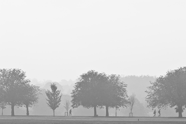 fog-Negative Space
