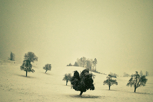tree-Negative Space