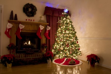 Home for Christmas