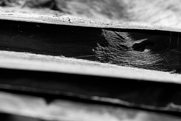 wood-15464