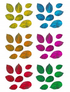 scrapbook Leaves Foliage Element Ornament Page Collage