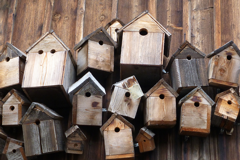 bird-feeder-248946