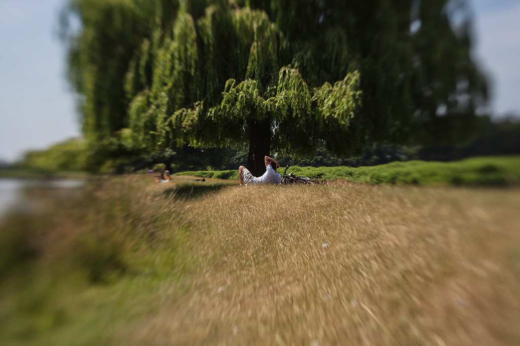 Lensbaby Bushy Park