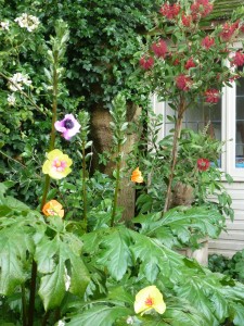 paper flowers