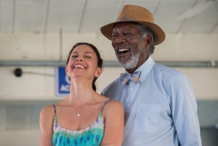 Dolphin Tale 2 2