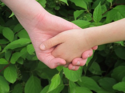 children hand in hand hands parent and child hands