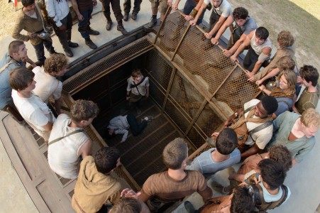 MAZE RUNNER