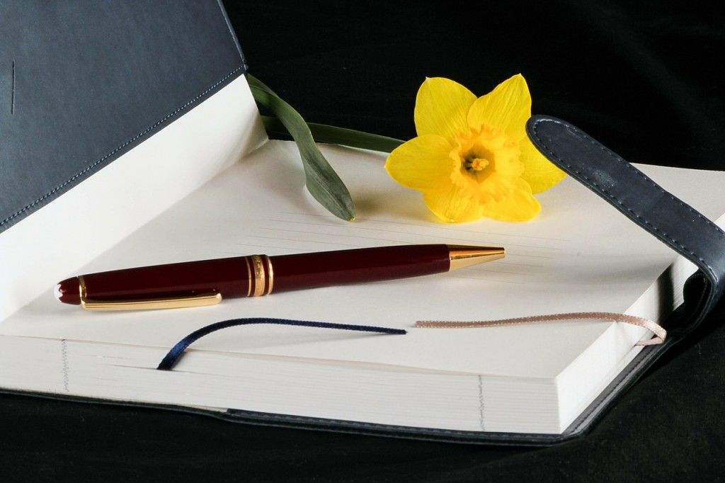 write a diary writing