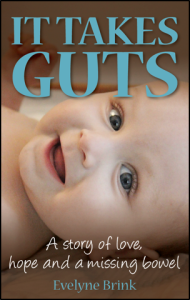 guest blogger post Evelyne Brink - Book Cover