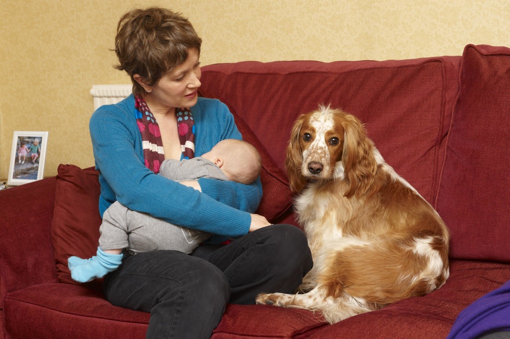 Dogs Trust - Be Dog Smart