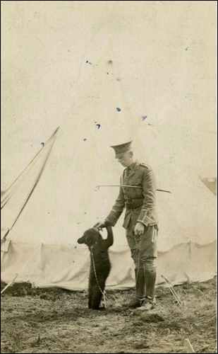 Finding Winnie - The story of the real bear who inspired Winnie The Pooh 2
