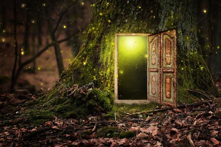house inside tree