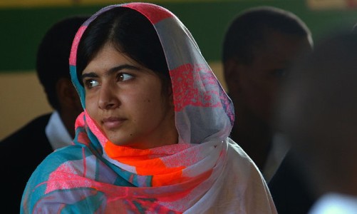 Malalapic3