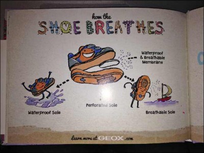 geox book 3