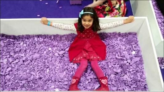 brick lego show