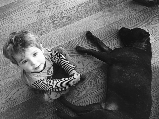 Dog and Baby 3