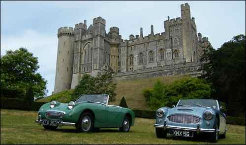 Austin-and-Healey-Cars