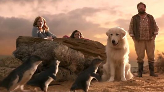 dogs in films Oddball and the Penguins 2