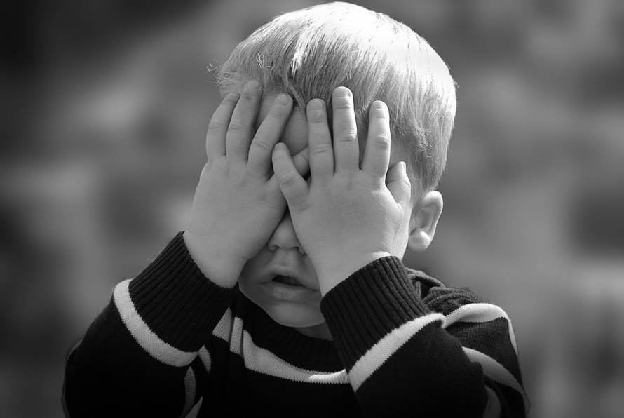 portrait-child-hands-57449-large