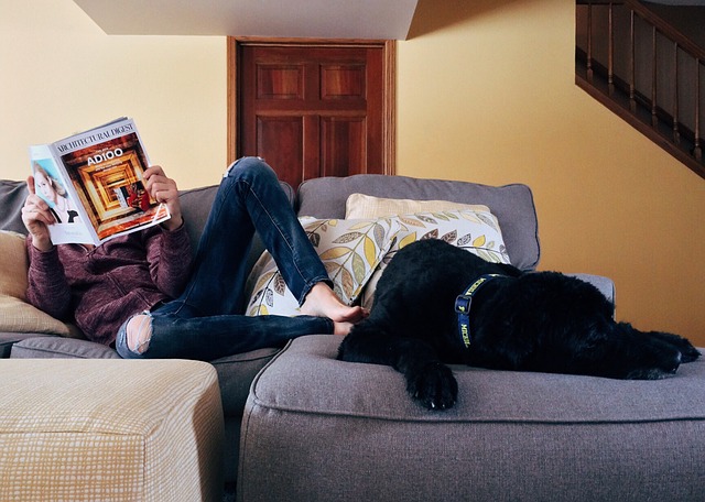 indoor-activities-reading-person-dog