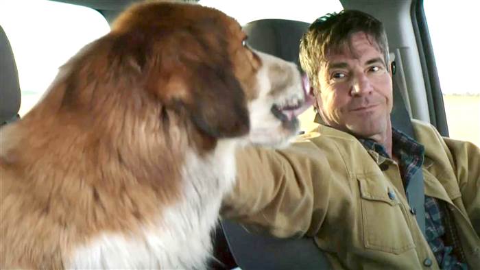 A Dog's Purpose 