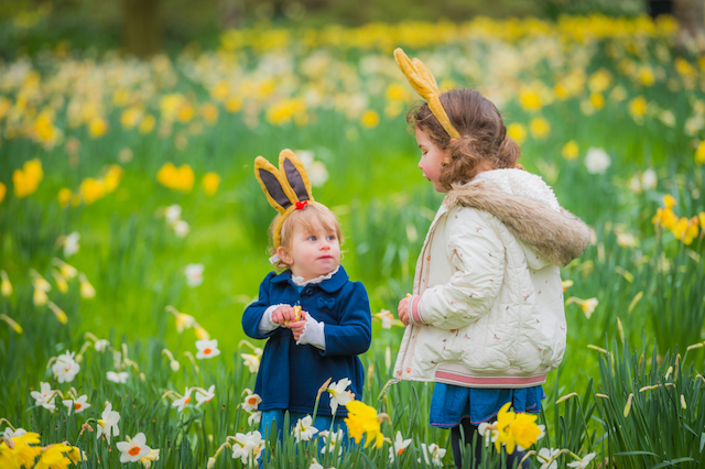 easter egg hunt 
