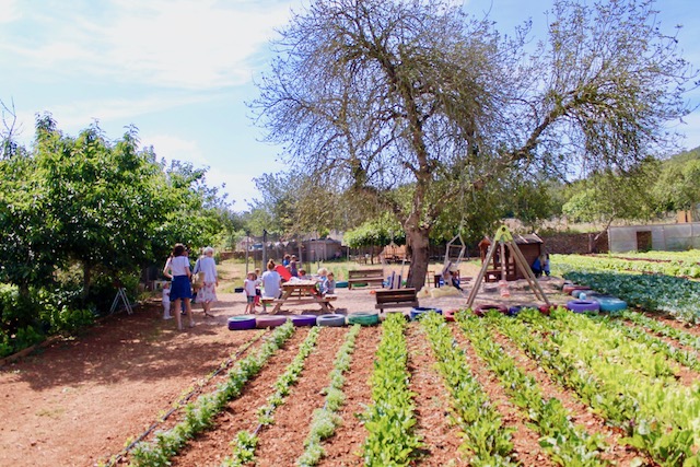 ibiza farm nursery
