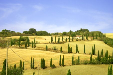 Tuscan Landscape