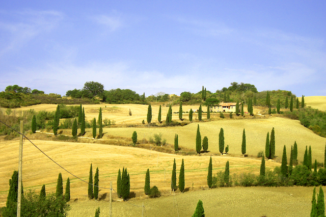 Tuscan Landscape