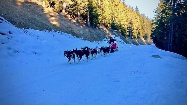 Travel with Kids Family skiing in Alpe Huez