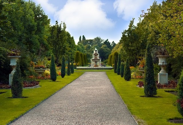 london Regent's Park royal-garden