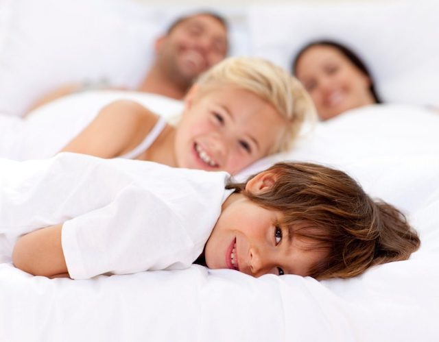 Bed bugs family in bed together 
