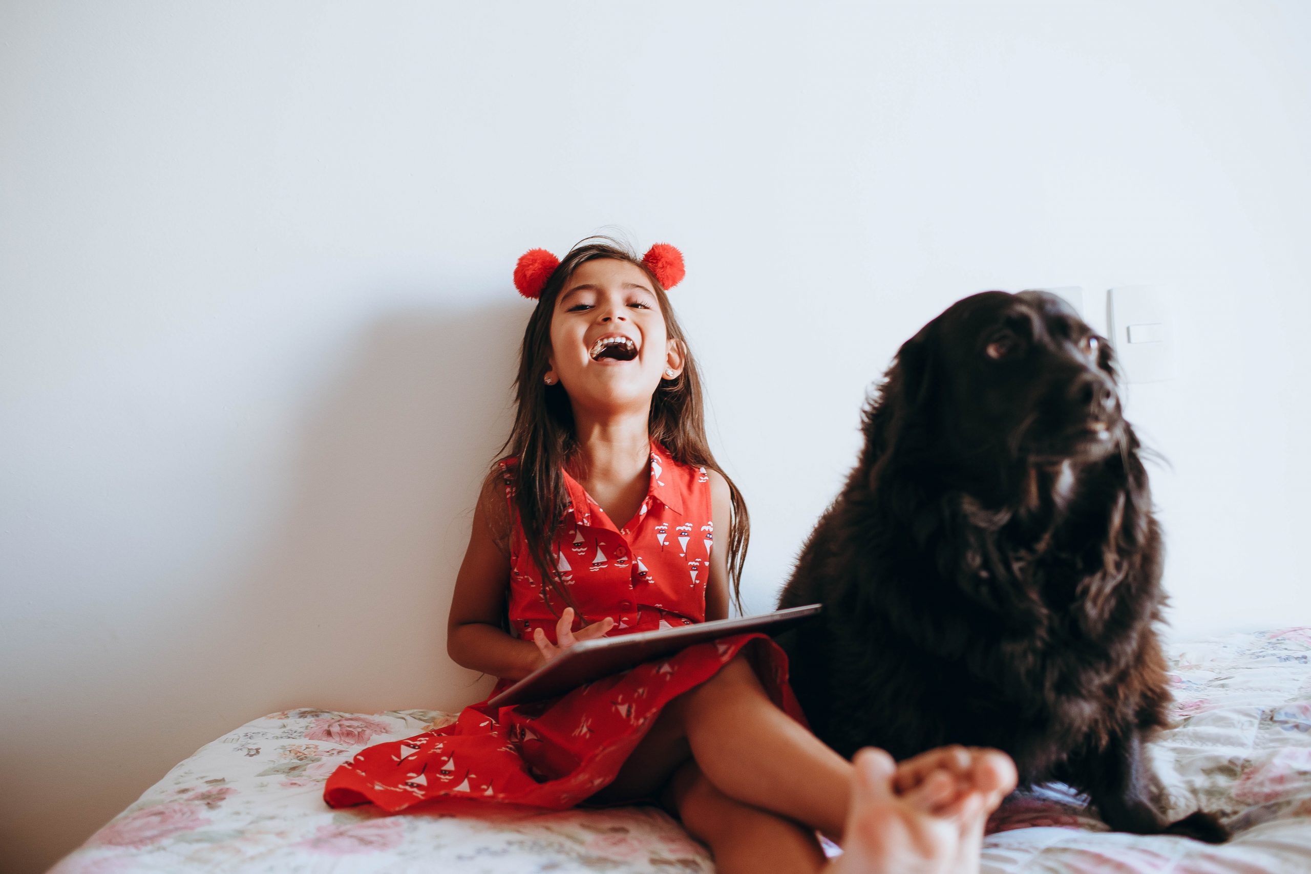 best dog breeds
