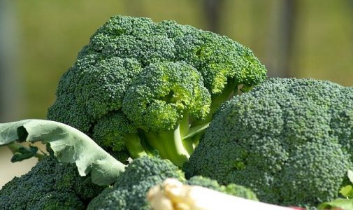 vegetables broccoli