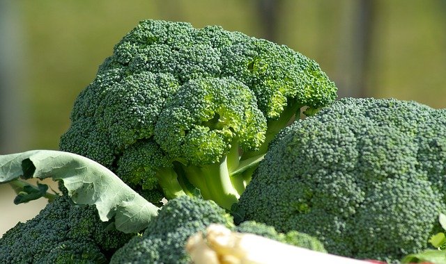 vegetables broccoli