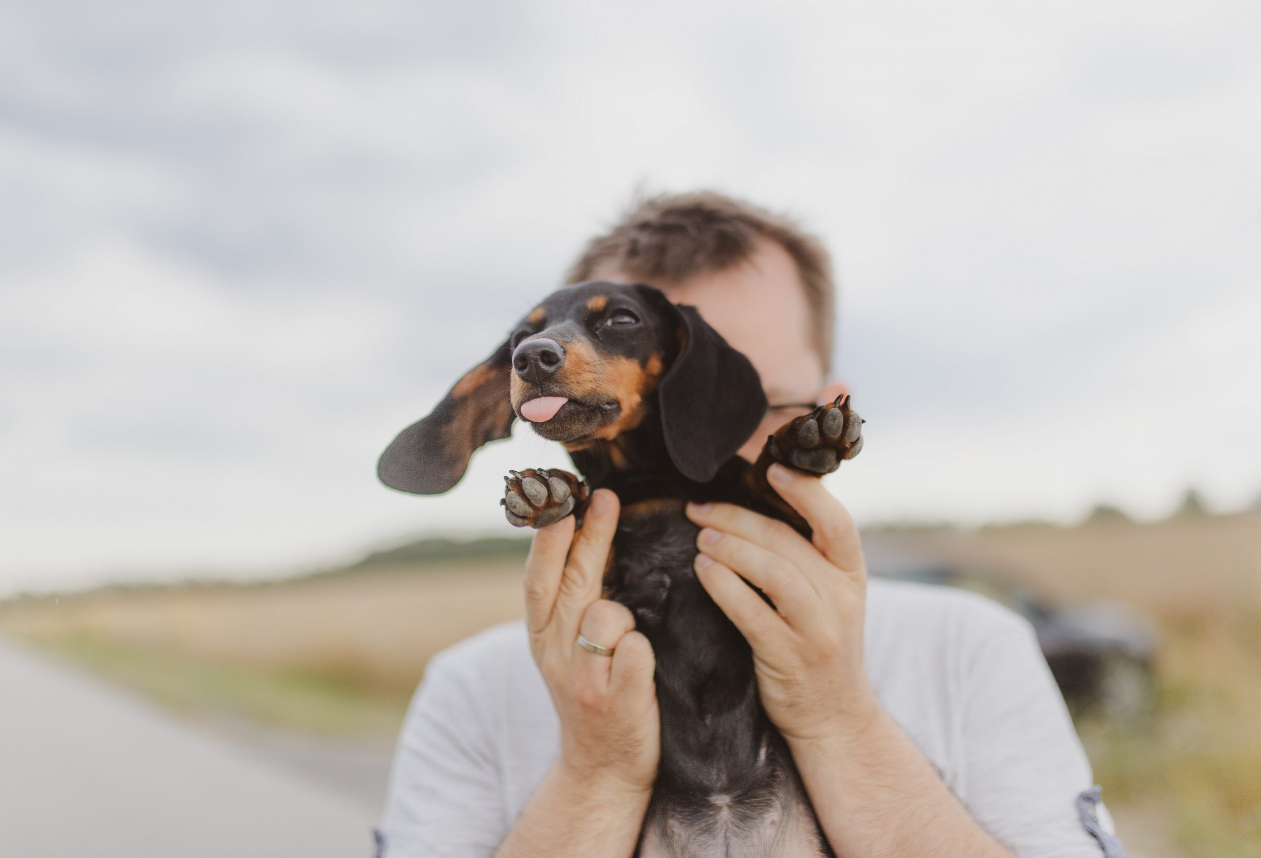 Adopting Your First Family Dog? Here's What You Need To Know