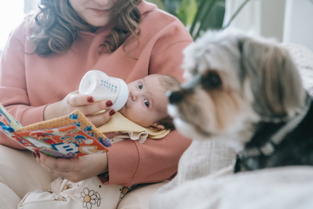 mum feeding baby with baby formula while child watches puppy dog posing for mums magazine