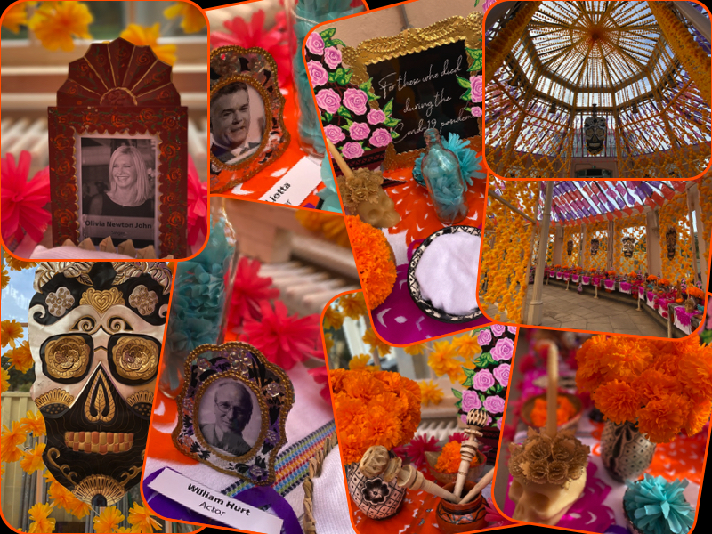 dia de los muertos orange flowers decorations at kew gardens mexico festival 