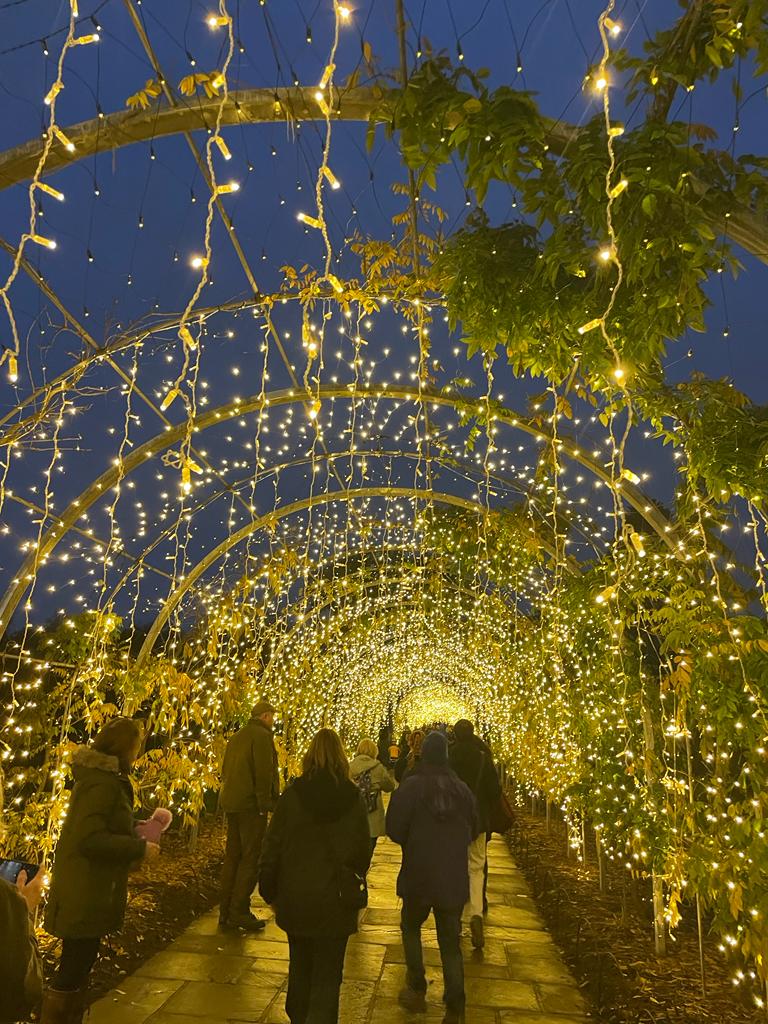 fairy lights at the Christmas glow walk at RHS Garden Wisley 