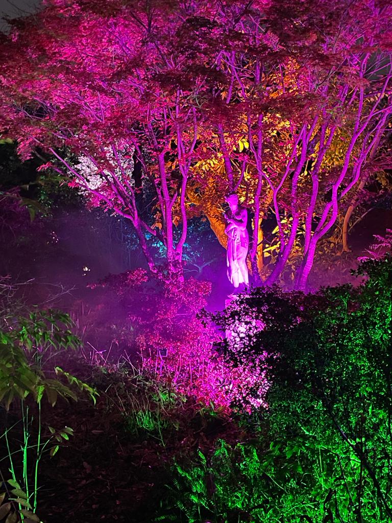 colourful fairy lights at the Christmas glow walk at RHS Garden Wisley 