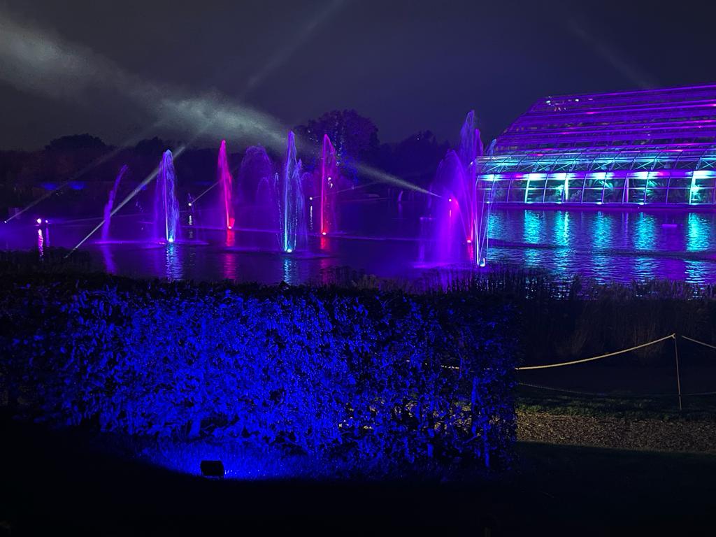 colourful fairy lights at the Christmas glow walk at RHS Garden Wisley 